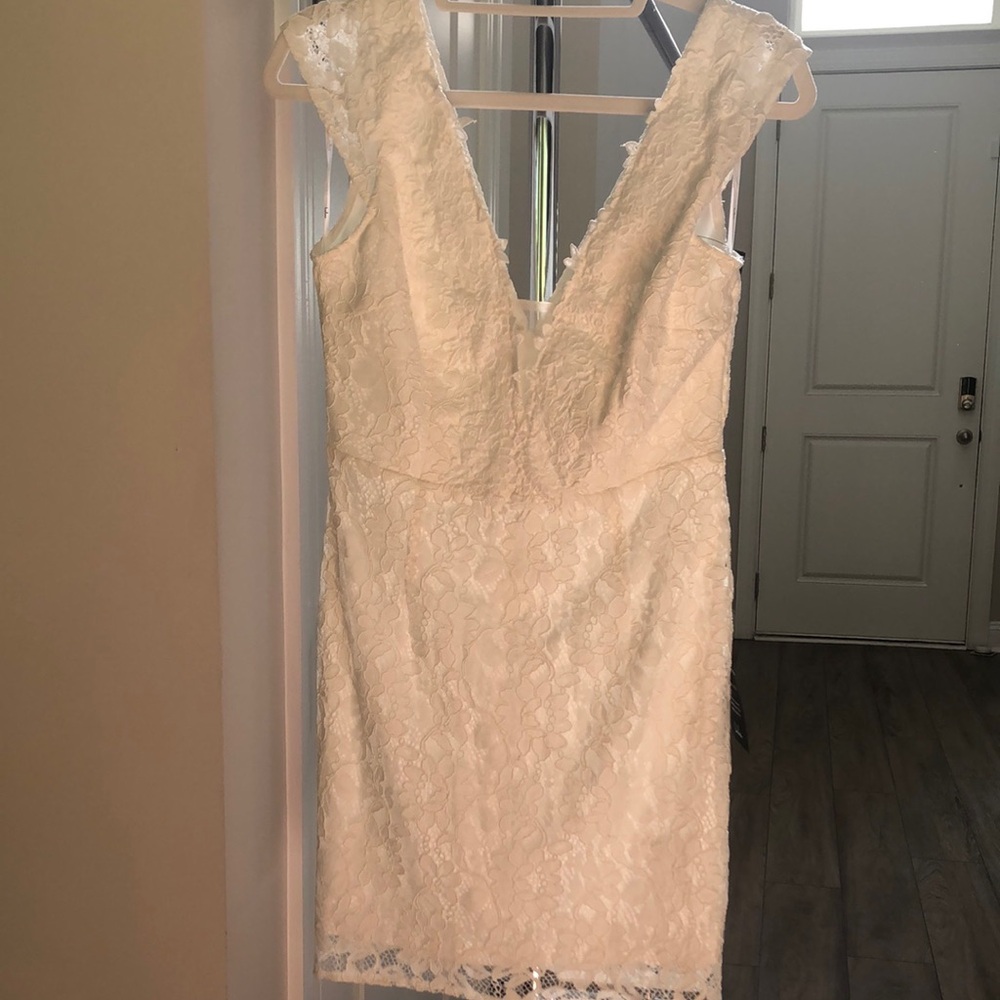 Elegant Lace Sleeveless Dress